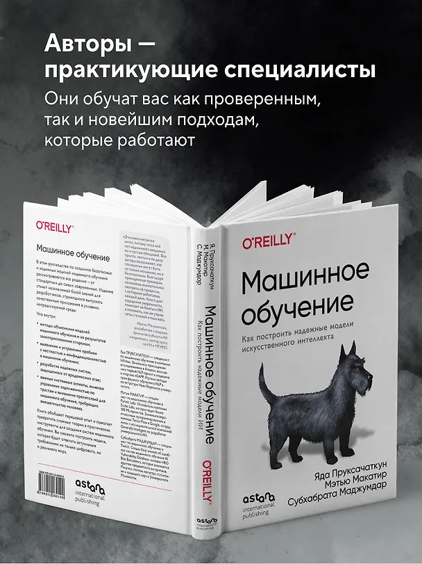 Книга Машинное обучение. Как построить надежные модели искусственного интеллекта (Яда Пруксачаткун, Мэтью Макатир, Субхабрата Маджумдар) — 6