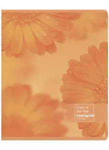 Тетрадь в линейку Academy Style, "Календула", 96 листов