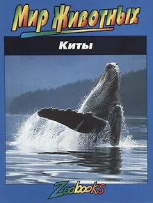 Киты