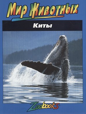 Киты