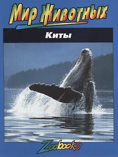 Киты