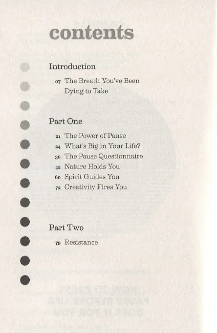 Книга Pause () — 2