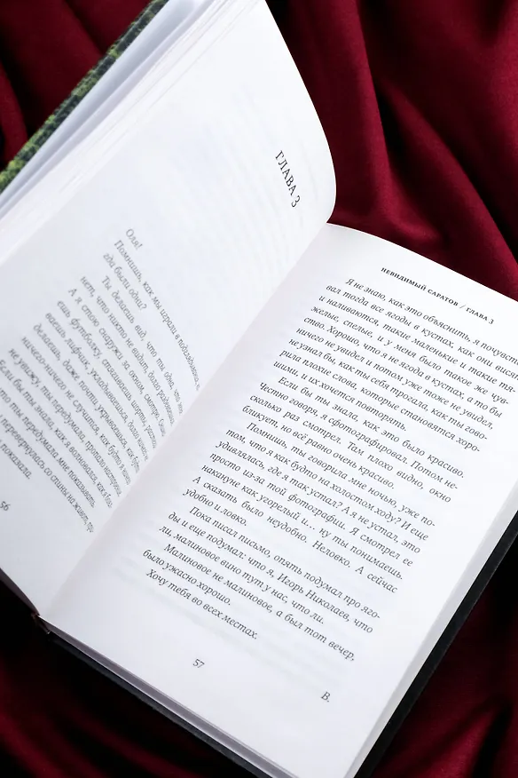 Книга Невидимый Саратов (Михаил Левантовский) — 10