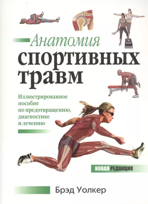 Анатомия спортивных травм. Иллюстрированное пособие по предотвращению, диагностике и лечению — 2738537 — 1