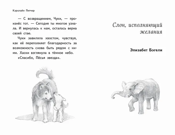 Книга Чудеса в полярную ночь () — 9