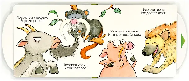 Книга Вот так рот! (Мэтью Ван Флит) — 3