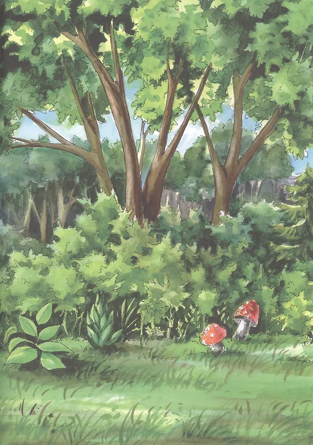 Книга Петсон и Финдус изучают животных (Штеффани Корда, Свен Нурдквист) — 3