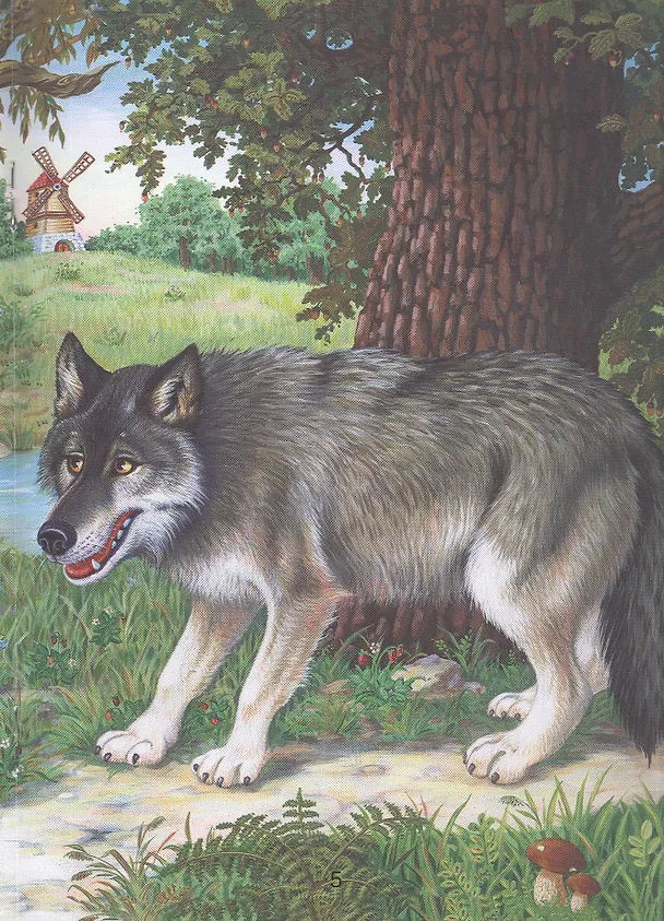 Книга Красная Шапочка (Шарль Перро) — 2