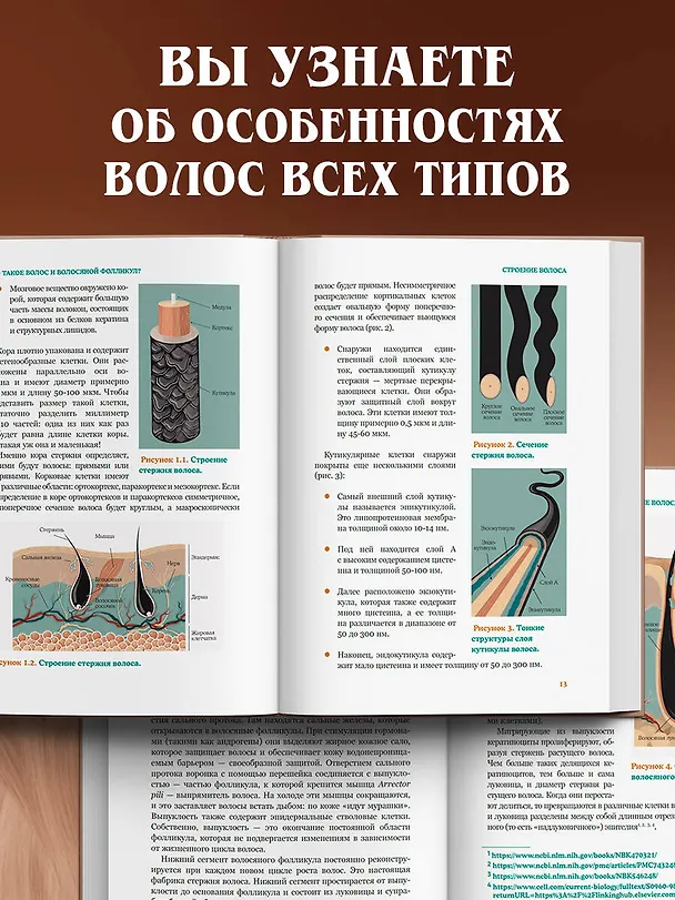 Книга Волосы. Иллюстрированное пособие для врачей, трихологов и парикмахеров (Алексей Ржешевский, Марина Войтова, Алексей Кабанов) — 8