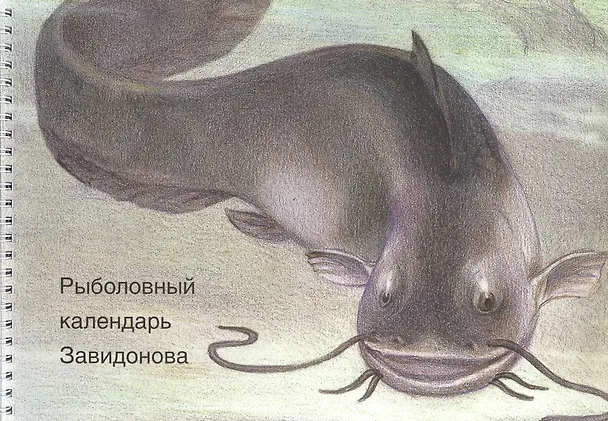 Книга Рыболовный календарь Завидонова () — 1