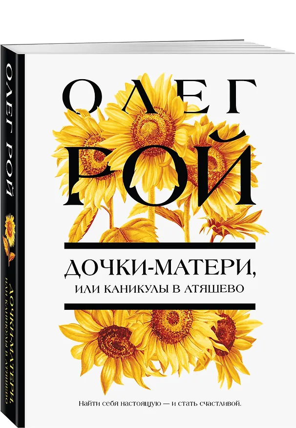 Книга Дочки-матери, или Каникулы в Атяшево (Олег Рой) — 4
