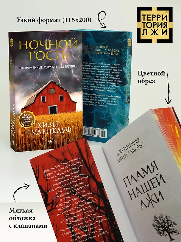 Книга Ночной гость (Хизер Гуденкауф) — 8