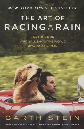 The Art of Racing in the Rain — 2766383 — 1