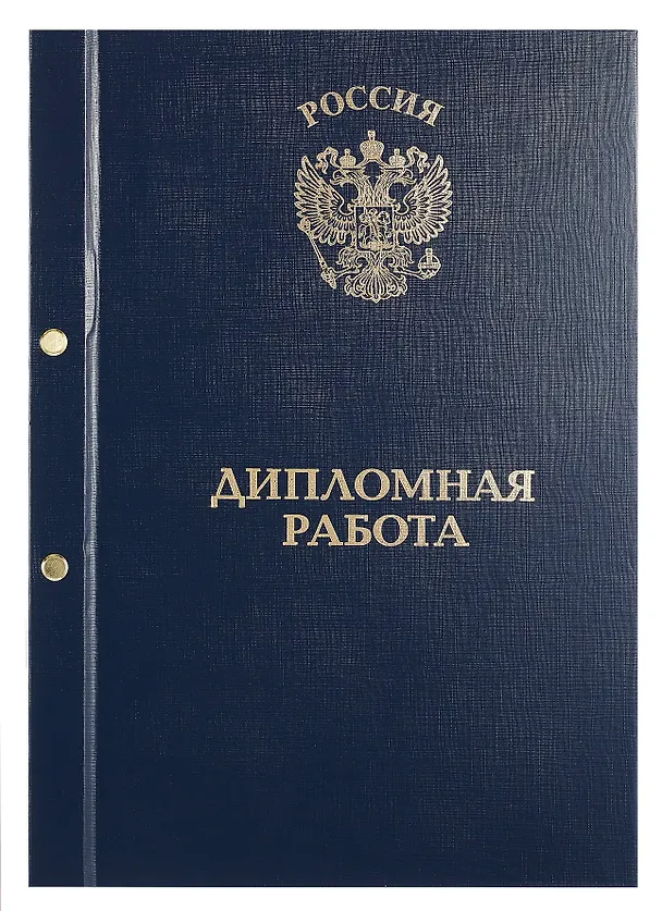 Обложка "Дипломный проект" ассорти, 2 отверстия, бумвинил 3101356 — 5