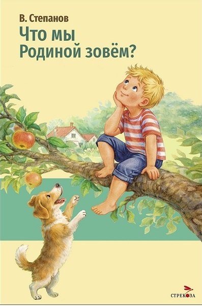 Владимир Александрович Степанов Что мы Родиной зовем?