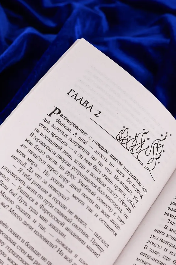 Книга Не драконьте принца! Книга первая (Наталья Мамлеева) — 13