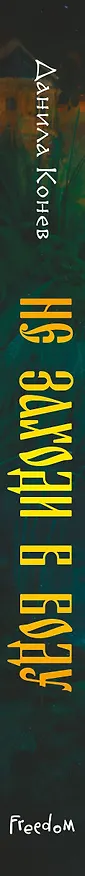 Книга Не заходи в воду (Данила Конев) — 5