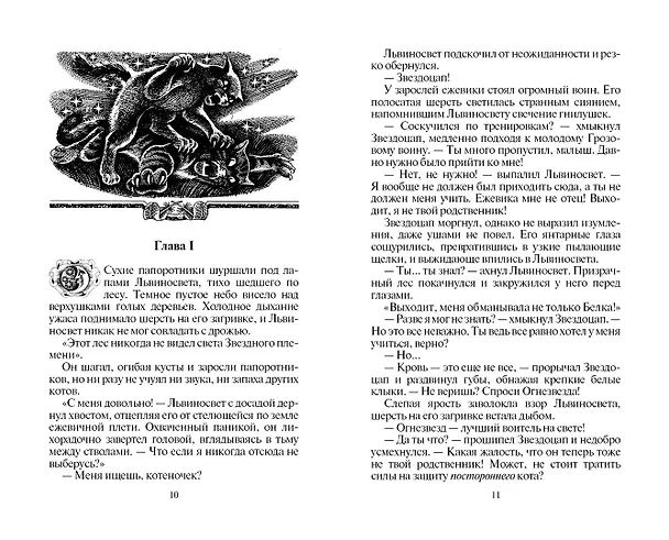 Книга Восход солнца (Эрин Хантер) — 5