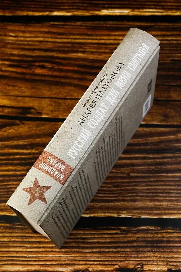 Книга Русский солдат для меня святыня (Владимир Варава) — 9