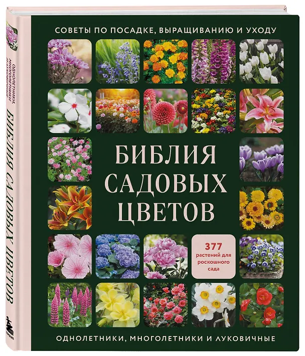 Книга Библия садовых цветов. Однолетники, многолетники и луковичные. Советы по посадке, выращиванию и уходу () — 6