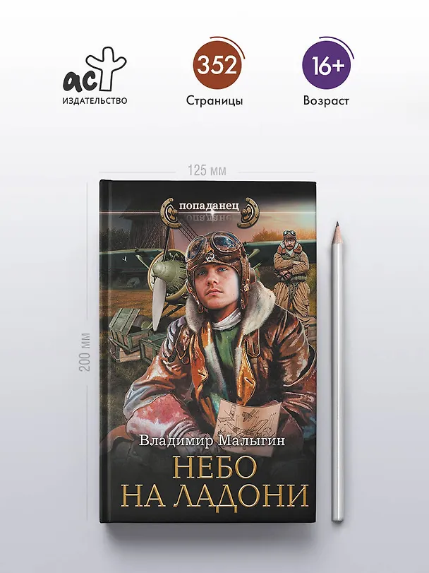 Книга Небо на ладони (Владимир Малыгин) — 5