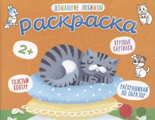 Книга Домашние любимцы. Раскраска ()