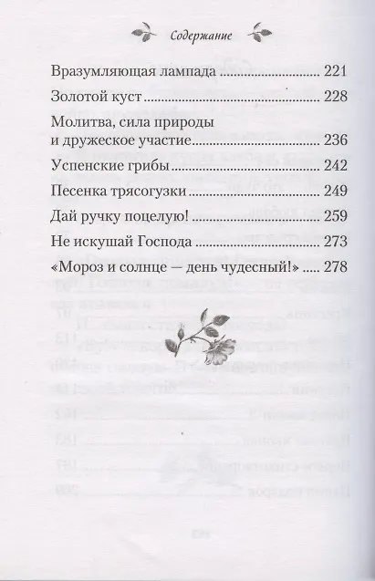 Книга Чудесный сад. Рассказы (Валентина Карпицкая) — 3