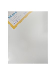 Холст на картоне 40*50, грунт., 100% хлопок, 280г/м2, Pinax