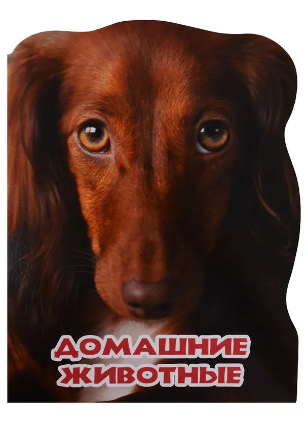 Книга МИР ЖИВОТНЫХ. ДОМАШНИЕ ЖИВОТНЫЕ () — 1