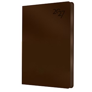 Ежедневник дат. 2027г. А5 176л "Soft Touch" американо, иск.кожа, интегр.переплет, тонир.блок, скругл.углы, ляссе, инд.уп 3173909