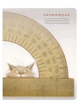 Тетрадь предметная в клетку "Кот учёный. Геометрия", 48 листов 2955264