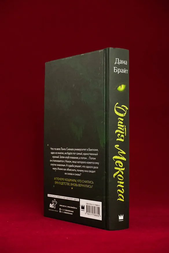 Книга Дитя Меконга (Дана Брайт) — 9