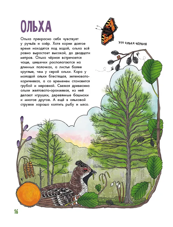 Книга Деревья (Эмма Янссон) — 10