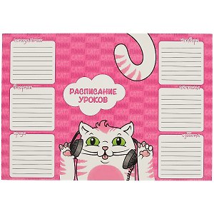Расписание уроков «Кот меломан», А4, мелованный картон, Феникс+