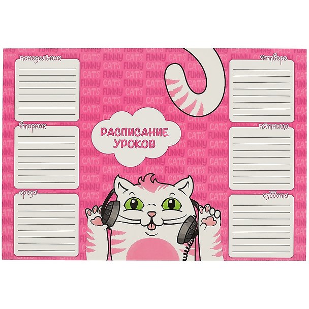 Расписание уроков «Кот меломан», А4, мелованный картон, Феникс+ 251097 — 1