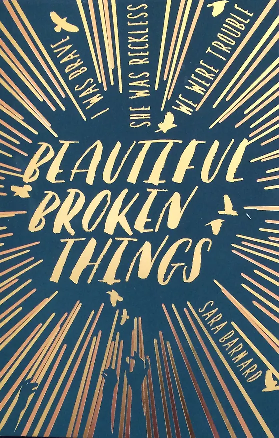 ΠΠ½ΠΈΠ³Π° Beautiful Broken Things () β 1