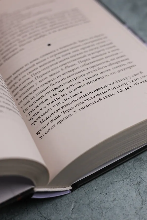 Книга Последние дни наших отцов (Жоэль Диккер) — 13
