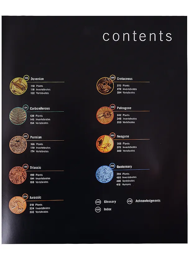 Книга Dinosaurs and Prehistoric Life. The definitive visual guide to prehistoric animals () — 3