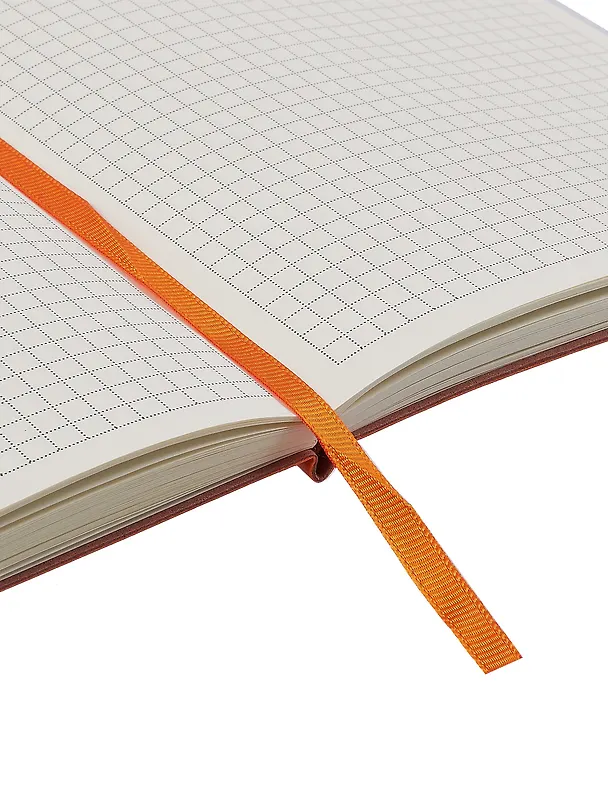 Книга для записей А5, 100 листов в клетку, оранжевая, Schiller 3031820 — 15