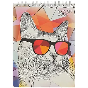 Скетчбук «Модный кот», 60 листов, А4
