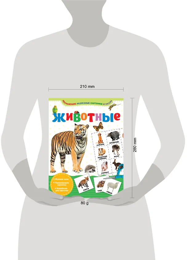 Книга Животные () — 3