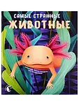 Открытая книга