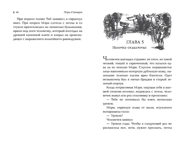 Книга Мэри и ведьмин цветок (Мэри Стюарт) — 6