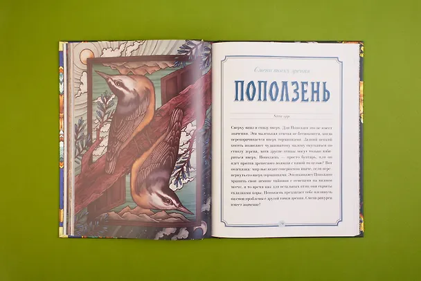 Книга Магический бестиарий. Вдохновляющие послания и ритуалы от 36 волшебных животных (+36 карт) (М. Толл) — 11
