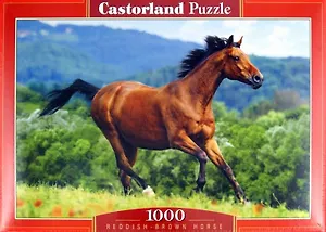 Пазл 1000 C-102396 Лошадь (Castorland)