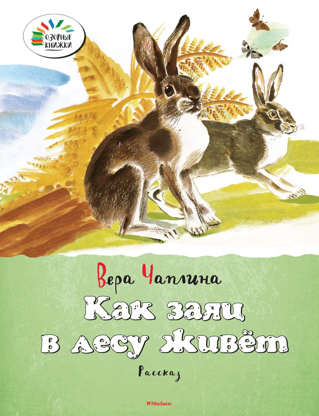 

Как заяц в лесу живёт