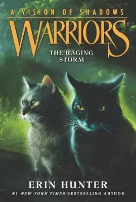 Warriors A vision shadows The Raging Storm — 2873470 — 1