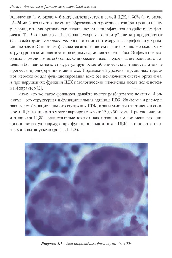 Книга Руководство по ультразвуковой диагностике заболеваний щитовидной железы. Руководство для врачей () — 4