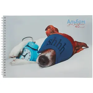 Альбом для рисования Listoff, Sweet dreams, А4, 40 листов, на гребне