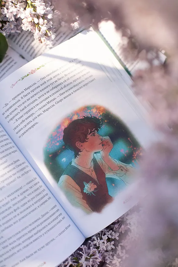 Книга Аня из зеленых мезонинов (Люси Мод Монтгомери) — 13